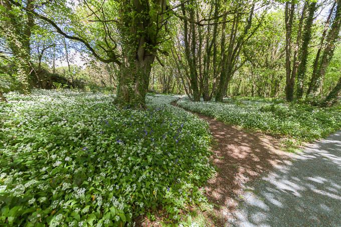 Ireland May 2015 (22)